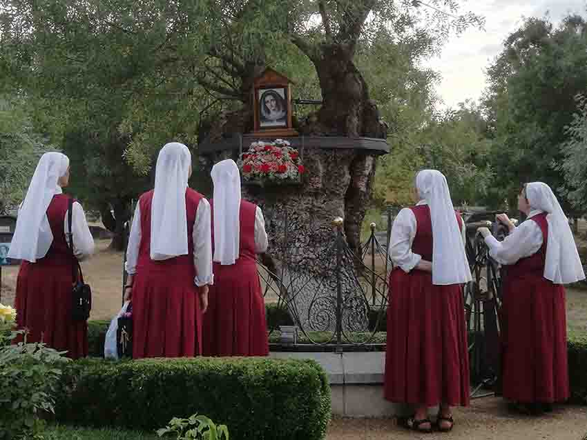 Reparadoras frente al Árbol de las apariciones prado nuevo apariciones marianas