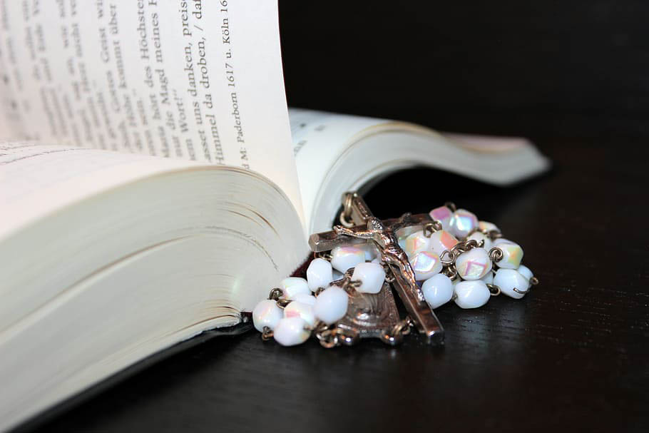 Estudios en la vida consagrada fe esperanza rosario libro 